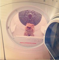 Василий, назовёте слово сразу или будем крутить барабан?