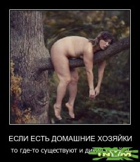 Фотоподборка за 11.09.2015