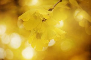 20 фотографий, на которых осень фантастически прекрасна