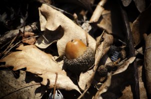 20 фотографий, на которых осень фантастически прекрасна