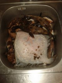 А я вот недавно с рыбалочки вернулся Днестровская банка! Красота!