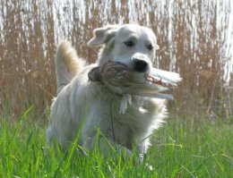 а мы на дичь ходим)