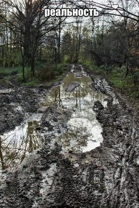 Решил сфоткать осенний лес: