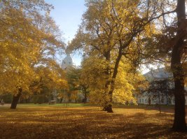Ну почему... Вот Питер)) Вполне себе жизнерадостно-осенне))
