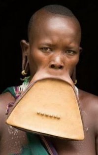 Балалайку доедает !