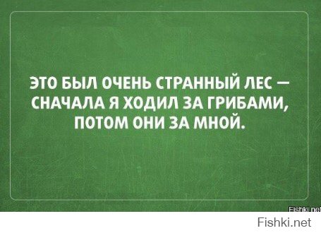 Как не спутать съедобные грибы с ядовитыми?