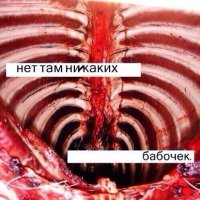 Голодному туристу на заметку - учимся готовить насекомых