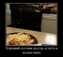 Отражение в зеркале меня порадовало