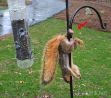 раз такое дело, то где эта фотка?