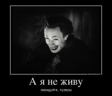 Подборка демотиваторов, которые поднимут вам настроение!