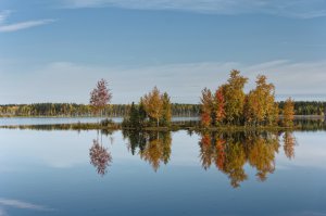 Можно подумать, в России осени не бывает