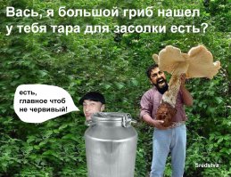 Как не спутать съедобные грибы с ядовитыми?