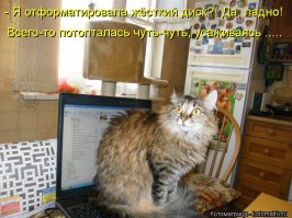 Моя хвостатая морда такого же окраса, и морду такую делает, когда я застукаю её на кухонном столе))