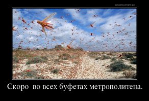 Секретный общепит