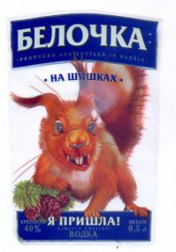 Канадский фотограф Нэнси Роуз считает белок очень хозяйственными и игривыми животными