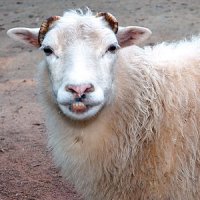 Почему мужчина должен женщине?