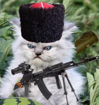 Ну давай, спрячь от меня!!!