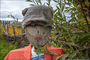 это же Зверев блин