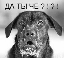 Настоящая женщина?