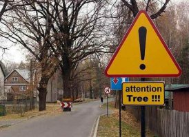 Автор мудак и подлец! Без того что бы серануть никак?Вроде совсем не по теме?На !еще картинок подброшу!