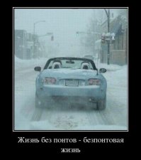 Очередная подборка автоприколов