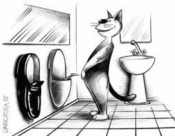 Как узнать, врет вам кошка или нет? 