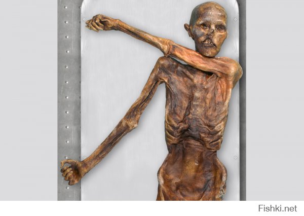 Как выглядел человек 5000 лет назад
