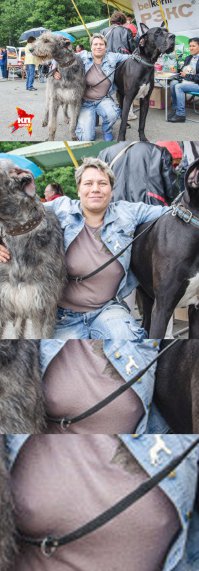 В Ижевске волкодав Зиля вырастил котенка, который потерял маму