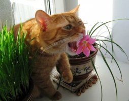 пез*улина через 3..2..1!)