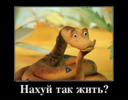 Я решил жить по-новому и вот моя история