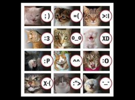 Как узнать, врет вам кошка или нет? 