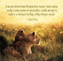 во, что оказывается у меня сейчас в жизни происходит, а я то и не подозревал