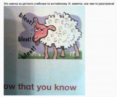 Сборка моих картинок 