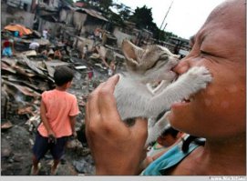 Уморительные морды котэ ДО и ВО ВРЕМЯ поедания ими разных продуктов