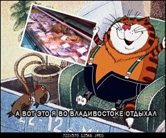 плюсую!!! наверно у каждого есть подборка фоток что рассмешила когда-то. щас свою пересмотрел. тож улыбнуло.