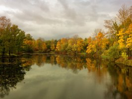 В том году в парках Пушкина, фото моё...