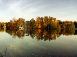 В том году в парках Пушкина, фото моё...