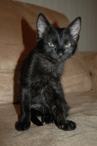 Настоящее утро понедельника.