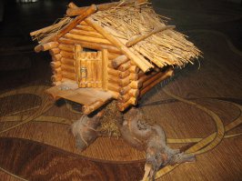 У меня такой же,только по-размерам,пожалуй,-для хомяка.))))