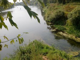 Лахва впадает в Днепр(Барколабаво Могилевская область Беларусь):)