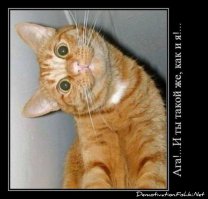 Подборка демотиваторов, которые поднимут вам настроение!