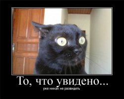 Сумасшедшие российские новости за прошедшую неделю