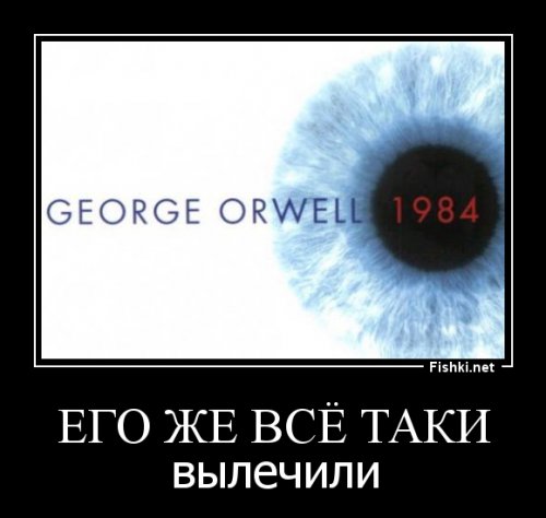 Не завидую Америке, вообще