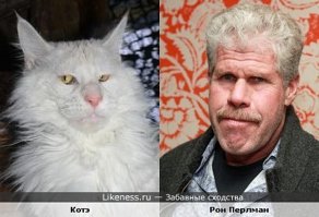 тут и фантазии не надо