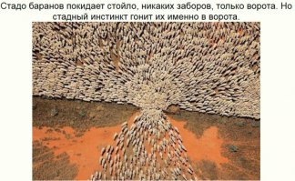 Исторические фотографии Альперта: война и мир