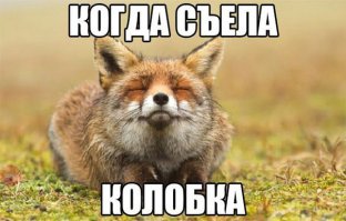 Цитаты с улыбкой