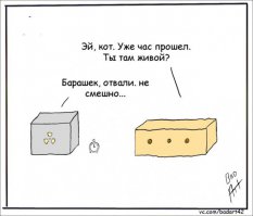 О чем шутят учёные