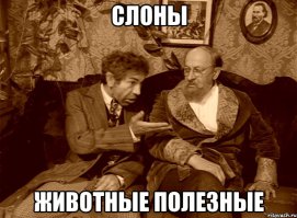 32 товара, которые просто необходимы тем, кто любит слонов