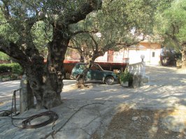 Жил летом в небольшой греческой гостинице. У хозяина была "Нива" ( Лада 4х4).
Он абсолютный фанат этой тачки , причем по неожиданной причине. В его "Ниве" стоит мощнейший кондиционер, который и не снился  машинам  членов его большого семейства. А это Опель Астра, Смарт и Мцубиси л 200.
Я честно говоря до этого вообще не знал, что "Нивы" с кондёрами бывают.