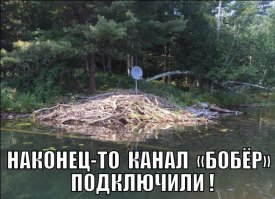 Фотоподборка за 14.09.2015